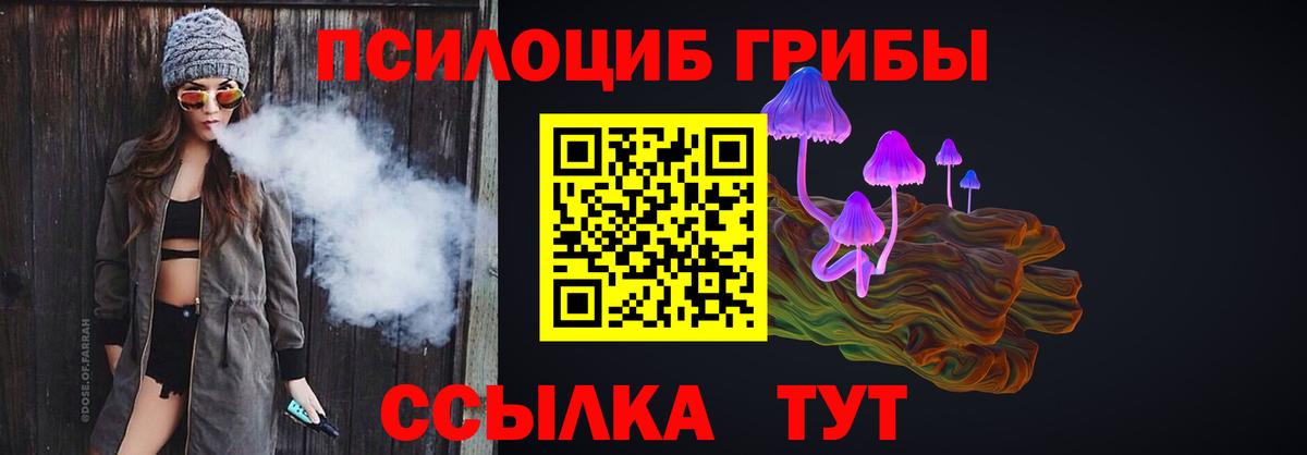 купить   Вход с VPN  Кинешма  Галлюциногенные грибы мицелий 